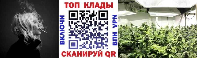 Где купить Новокубанск Марихуана ГАШ