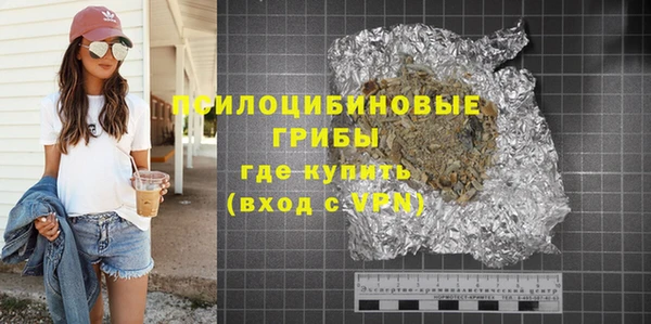дмт Алексин