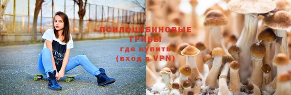 стафф Заволжск
