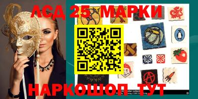 прущие грибы Нарткала