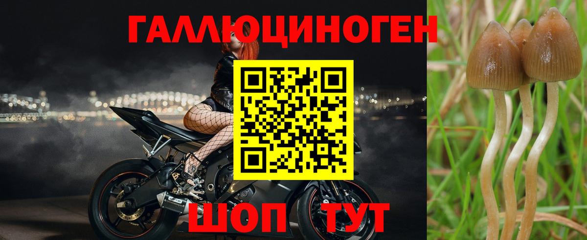 Псилоцибиновые грибы мухоморы  Вход с VPN  Новокубанск 